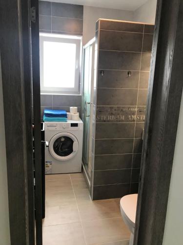 a bathroom with a washing machine and a window at Fok Flat Sibiu in Turnişor