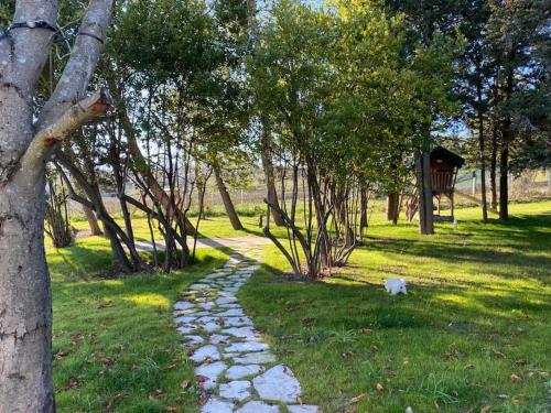 un camino de piedra en un parque con un árbol en Villa Fai Bei Sogni-Green Bed & Breakfast, en Coriano