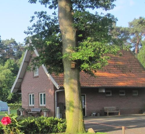 una casa de ladrillo rojo con un árbol delante en Vakantiehuis in een prachtige bosrijke omgeving in Twente! en Bornerbroek
