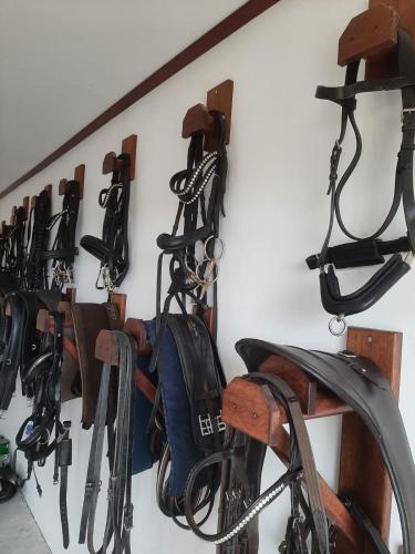 a group of golf clubs hanging on a wall at 'T Wolthoes in Vlagtwedde