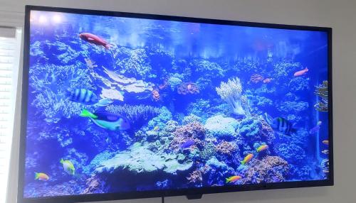 a large aquarium filled with lots of fish at Stylish Suite Tampa Minutes to Hard Rock Casino in Tampa