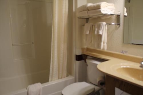 La salle de bains est pourvue de toilettes, d'une douche et d'un lavabo. dans l'établissement Nichols Inn & Suites, à Hastings