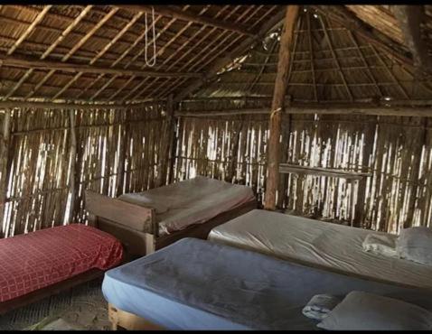 a room with three beds in a straw hut at Cabañas Tubasenika in Ailigandí