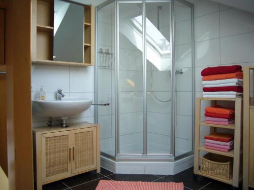 a bathroom with a glass shower and a sink at Ferienwohnung Schwäbische Alb in Justingen