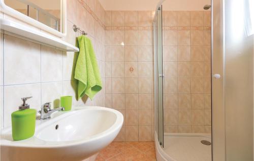 a bathroom with a sink and a shower at Stunning Apartment In Marcana With Kitchen in Marčana