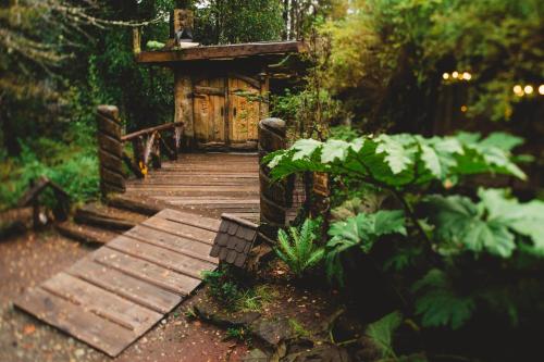a wooden pathway leading to a wooden door in a forest at Huilo Huilo Montaña Mágica in Huilo Huilo