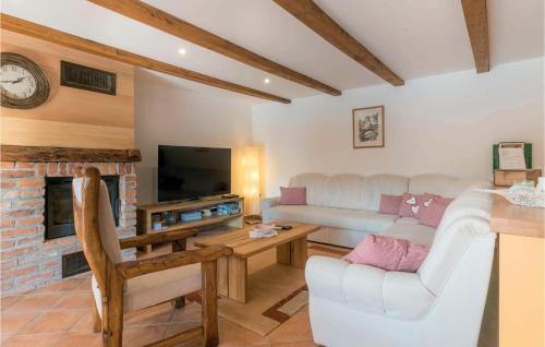 a living room with a couch and a fireplace at Gorgeous Home In Repusnica With Sauna in Repušnica