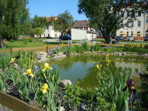 a pond in the middle of a garden with flowers at Apartmenthaus Kaiser Friedrich in Potsdam