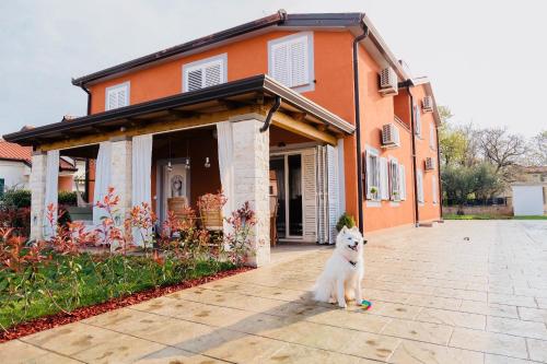 Apartment Nataša-romantic getaway