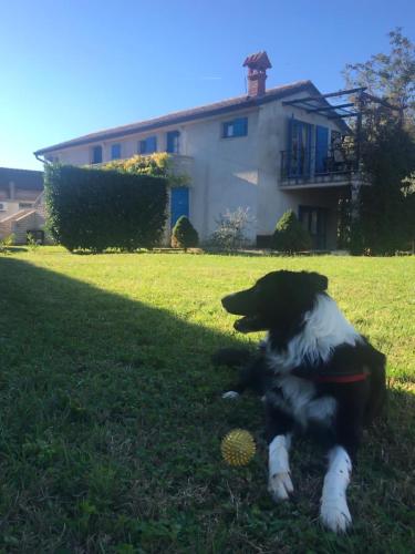 House Ivas with garden – Photos 3