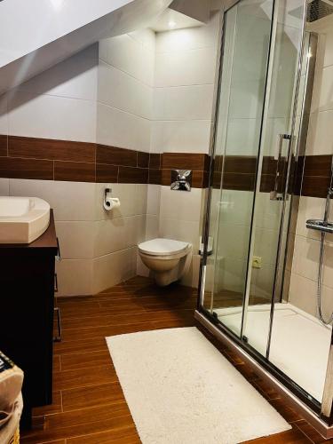 a bathroom with a toilet and a glass shower at Apartamenty Pod Łysicą & SPA - przy stoku, basen, jacuzzi, sauna in Krajno Pierwsze