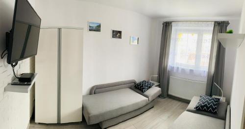 salon z kanapą i telewizorem w obiekcie Apartament Milena w Kudowie Zdroju