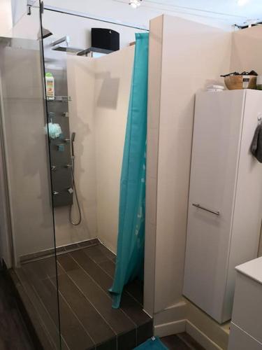 une douche avec un rideau de douche bleu dans une salle de bain dans l'établissement A very calm Loft in Bastille, à Paris