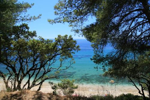 Photo de la galerie de l'établissement Grand T3 85 m2 situé à 15 min à pied des plages, au Pradet