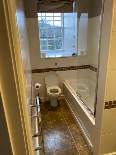 a bathroom with a toilet and a tub and a window at Grapes Hotel, Bar & Restaurant Snowdonia Nr Zip World in Blaenau-Ffestiniog