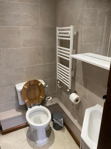 a bathroom with a toilet and a sink at Grapes Hotel, Bar & Restaurant Snowdonia Nr Zip World in Blaenau-Ffestiniog