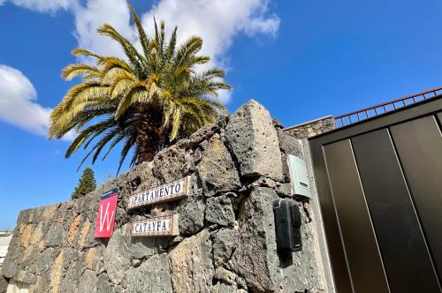 a palm tree behind a stone wall with street signs at Apartamento Catayfa in Teguise