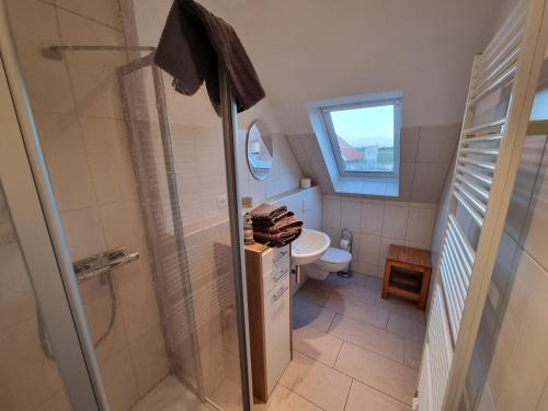 a bathroom with a shower and a toilet and a sink at Haus Ebbe und Flut Dagebüll in Dagebüll