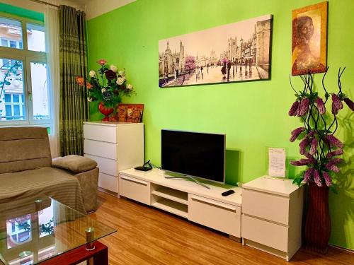 TV a/nebo společenská místnost v ubytování Blue Rose Apartman