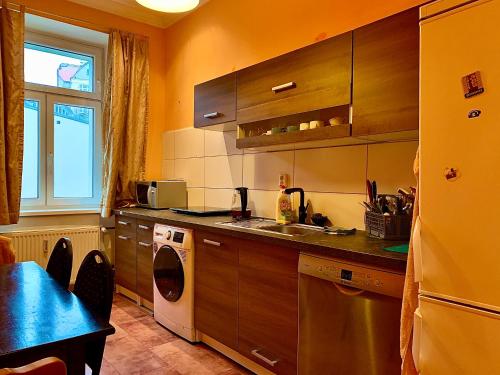 una cucina con lavatrice, lavandino e lavastoviglie di Blue Rose Apartman a Karlovy Vary