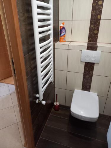 a bathroom with a white toilet in a room at Domek wiejski in Dwernik