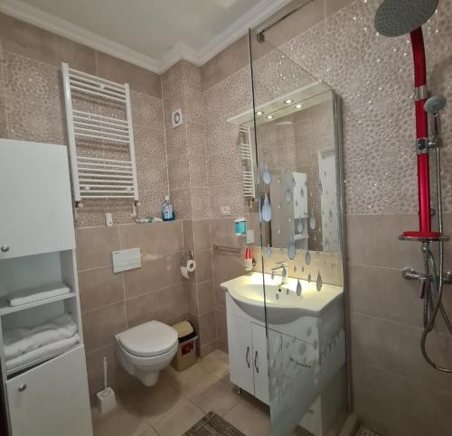 a bathroom with a toilet and a sink and a shower at Ella Luxury Apartament in Năvodari