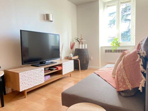 ein Wohnzimmer mit einem Flachbild-TV auf einem Tisch in der Unterkunft L'appart & Beaujolaise à l Arbresle in Éveux