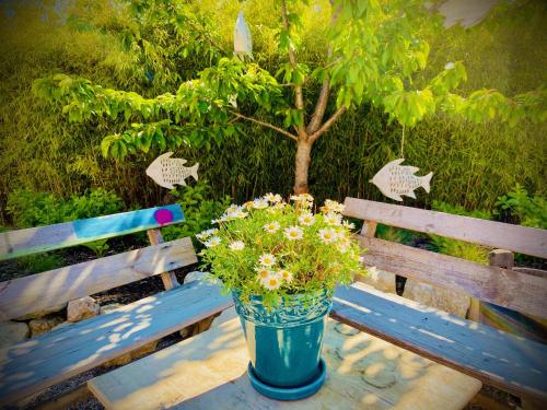 a blue bench with a bucket of flowers on it at GMOAHOUSE in Oggau