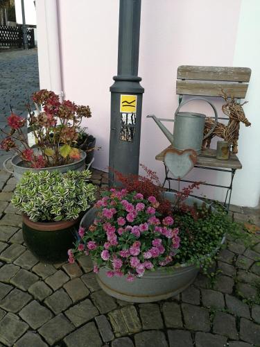 three pots of flowers sitting next to a pole at Siegen Altstadt Oberstadt Häuschen in Siegen
