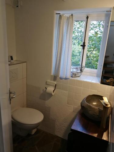 a bathroom with a toilet and a window and a sink at Siegen Altstadt Oberstadt Häuschen in Siegen