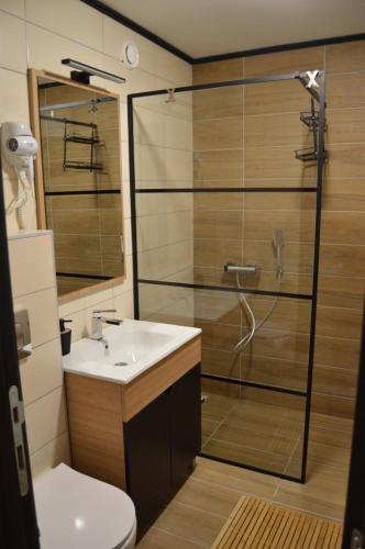 a bathroom with a toilet and a sink and a shower at Vili.Kop studio in Kopaonik