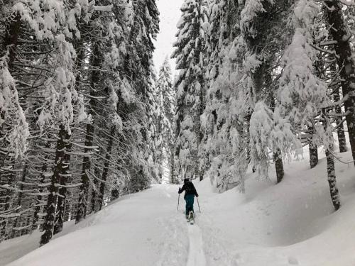 Kép Baita Zeni Tirolerhof szállásáról Fiera di Primieróban a galériában