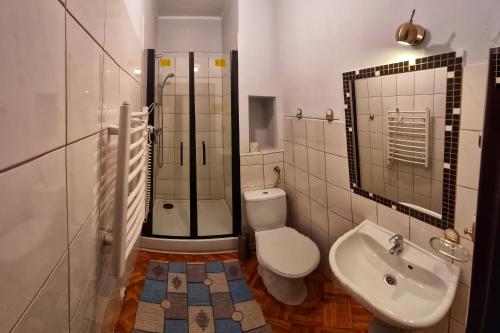 a bathroom with a toilet and a sink and a shower at NOCLEGI U IRENKI in Koło