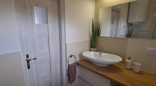 a bathroom with a white sink and a mirror at Zacisze pod brzozami in Kętrzyn