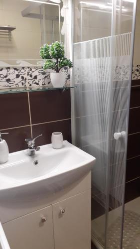 La salle de bains est pourvue d'un lavabo et d'une douche en verre. dans l'établissement Borostyán Vendégház, à Tiszaug