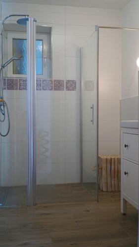 a shower with a glass door in a bathroom at Ferienwohnung Sonnenwald in Annaberg im Lammertal