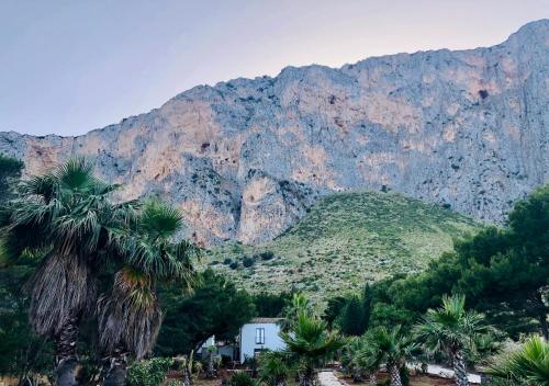 a mountain with palm trees and a house in front of it at Araja Villa&Suite by Geocharme in San Vito lo Capo