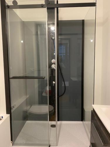 La salle de bains est pourvue d'une douche en verre et de toilettes. dans l'établissement Le Parmelan, à Annecy