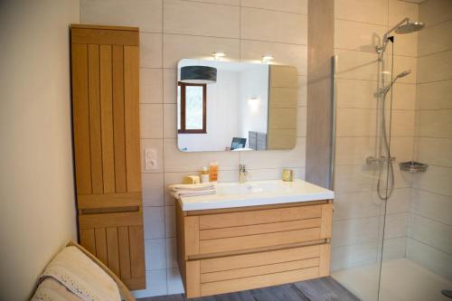 a bathroom with a sink and a shower at Le saint michel in Orpierre