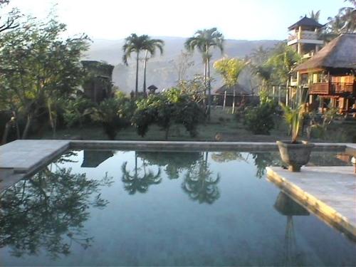 une piscine d'eau en face d'une maison dans l'établissement Singko Lovina, à Lovina