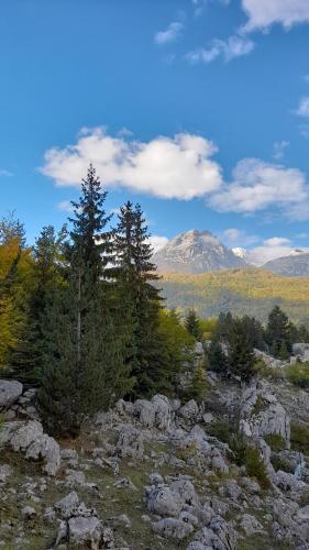 a mountain in the distance with trees and rocks at Guesthouse Drinos Valbone in Valbonë