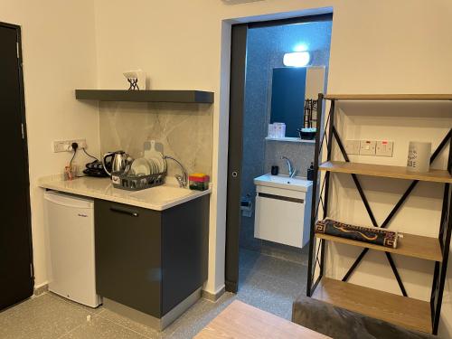a small kitchen with a counter and a sink at Mr. Studio in Ortakoy , North Nicosia + wifi + netflix in North Nicosia