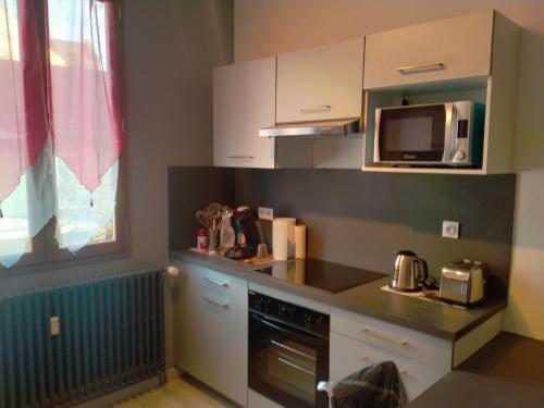 une petite cuisine avec un micro-ondes et une cuisinière dans l'établissement le petit SAINT ANTOINE, à Saint-Jean-de-Maurienne