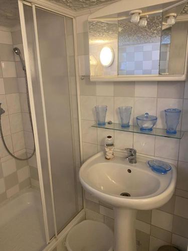 a bathroom with a sink and a shower and a toilet at Chalupa u Šlikovky in Jáchymov