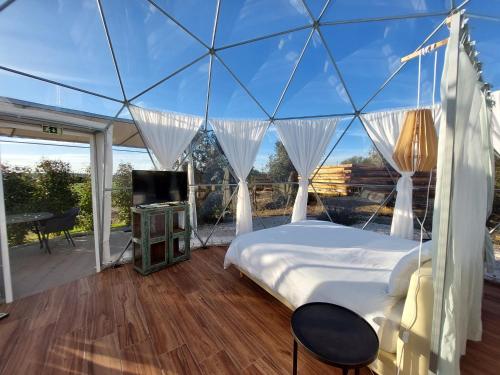 a bedroom with a bed in a glass house at Glamping Skies - Adults Only in Estremoz