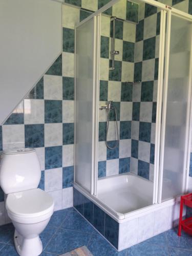 łazienka z prysznicem, toaletą i wanną w obiekcie DUET-ówka w mieście Dwernik