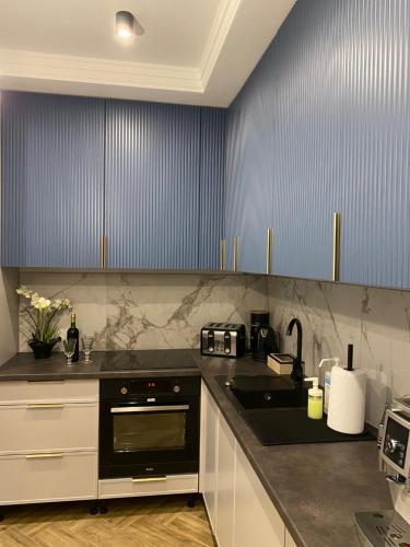 a kitchen with black appliances and blue walls at Family & Business Sauna Tężnia Apartments No12 Leśny nad Zalewem Cedzyna - 1 Bedroom with Private Sauna, Bath with Hydromassage , Terrace, Parking, Catering Options in Kielce