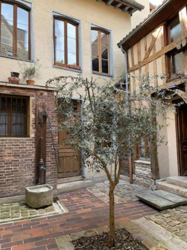 une maison avec un arbre devant dans l'établissement Aube berges de Troyes, à Troyes