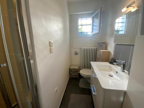 une petite salle de bain avec un lavabo et des toilettes dans l'établissement Belle chambre au calme centre Montpellier, à Montpellier