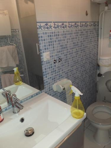 une salle de bain avec un lavabo, des toilettes et un miroir dans l'établissement t2 refait a neuf a port la nouvelle, à Port-la-Nouvelle